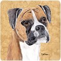 Carolines Treasures Boxer Foam Coasters - Set of 4- 3.5 x 3.5 In. SC9121FC